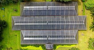 trackso contact us iot