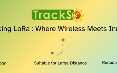 Introducing LoRa Solution : Where Wireless Meets Innovation